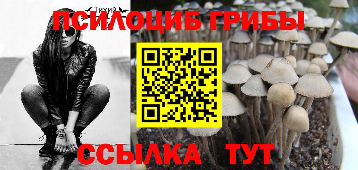 Галлюциногенные грибы Magic Shrooms  Галлюциногенные грибы ЛСД  Вход с VPN  Ступино 